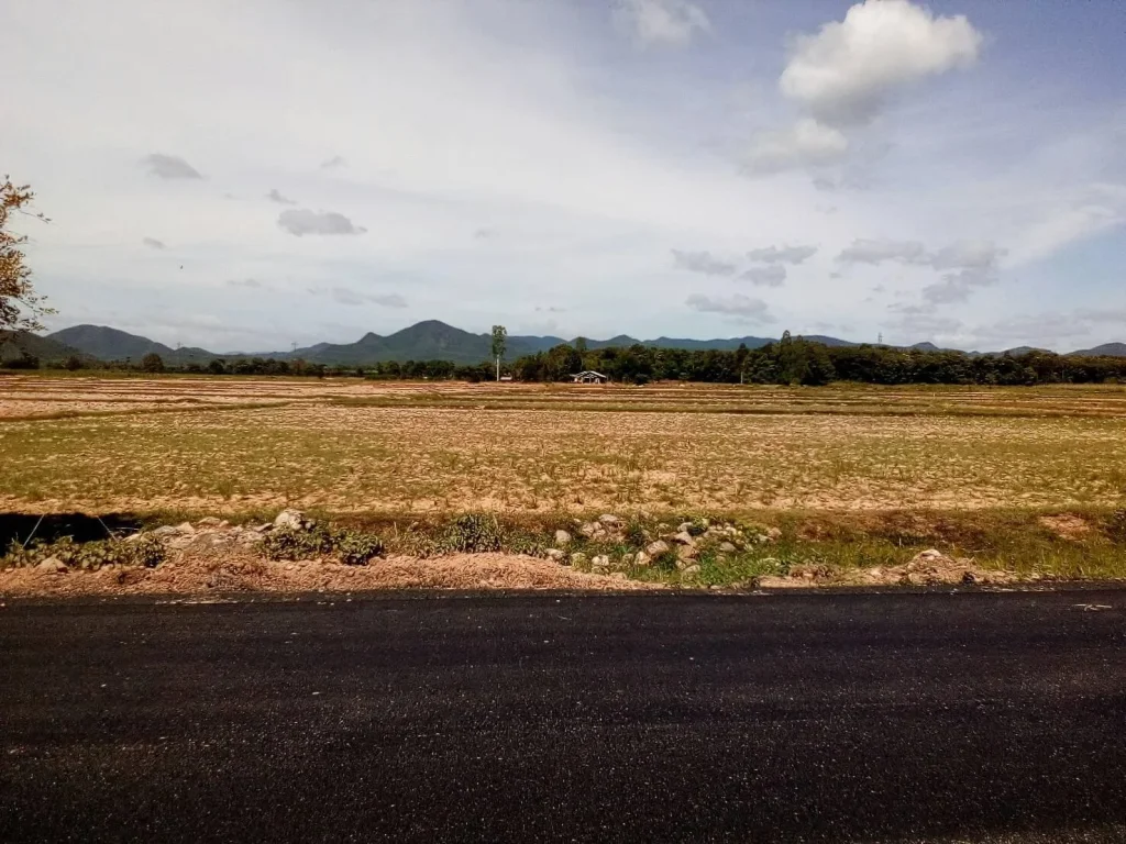 ขายที่ดินสวย3ไร่ติดถนนลาดยางน้ำไฟสะดวกเหมาะทำการเกษตรขายถูกสุดๆๆพร้อมโอน