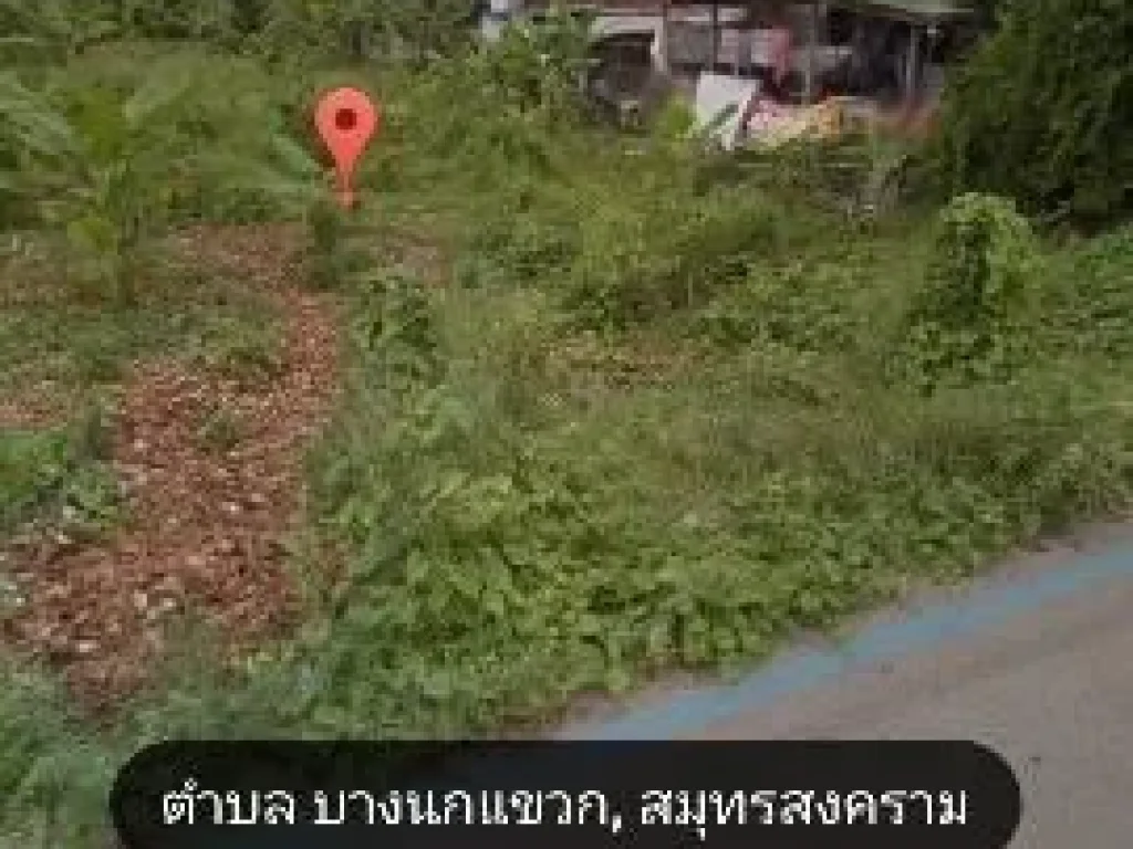 ขายที่ดิน 300 ตรวในเขตเทศบาล อบางคณที สมุทรสงคราม