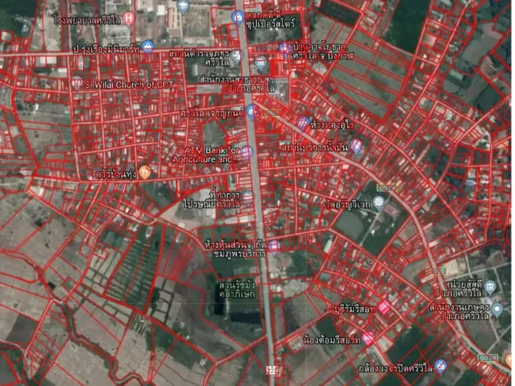 ขายที่ดินในเมือง จบึงกาฬ 2งาน 44ตรว