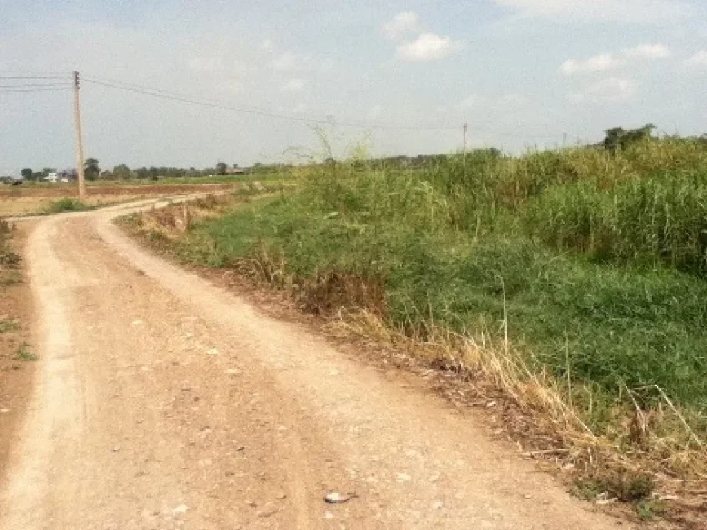 ขายที่ดินริมแม่น้ำสุพรรณบุรี 1 ไร่ อากาศเย็นสบาย เจ้าของขายเอง