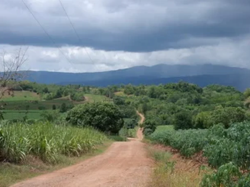 ขายที่ดินบ้านภูหายหลง วังกะทะ ปากช่อง นครราชสีมา ขนาด 20 ไร่ ที่ดินอยู่บนเนินเขา ลาดระดับลง วิวสวยมาก ใกล้เคนซิงตัน