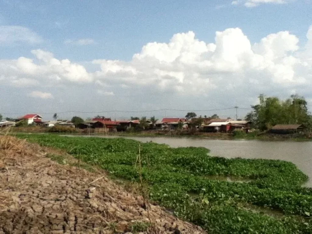 ขายที่ดินริมแม่น้ำสุพรรณบุรี วิวสวยมากๆ อากาศเย็นสบาย เหมาะสำหรับสร้างที่พักอาศัย ติดต่อเจ้าของที่ดินโดยตรงค่ะ