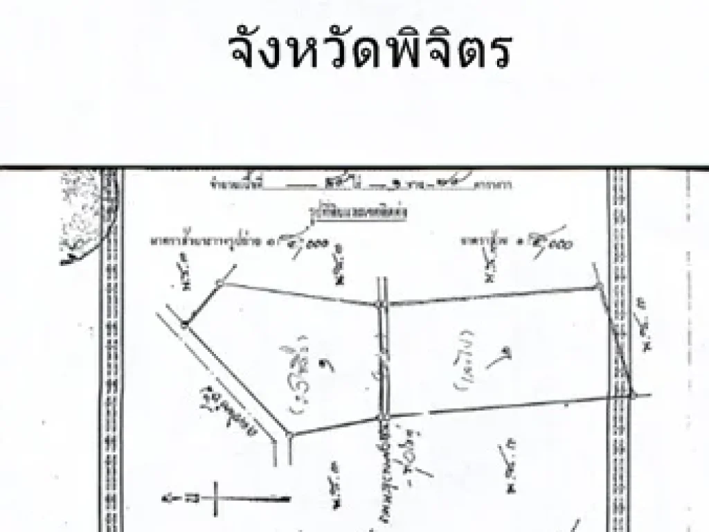 ขายที่ดิน โพธิ์ประทับช้าง จพิจิตร โดยเจ้าของที่ดิน