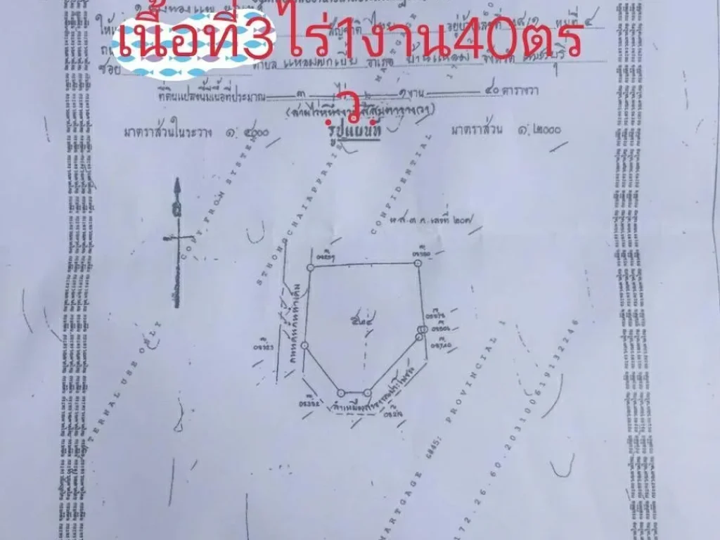 ขายที่ดินราคาถูก ติดถนนคั้นกันน้ำเค็ม สาย พบ4028