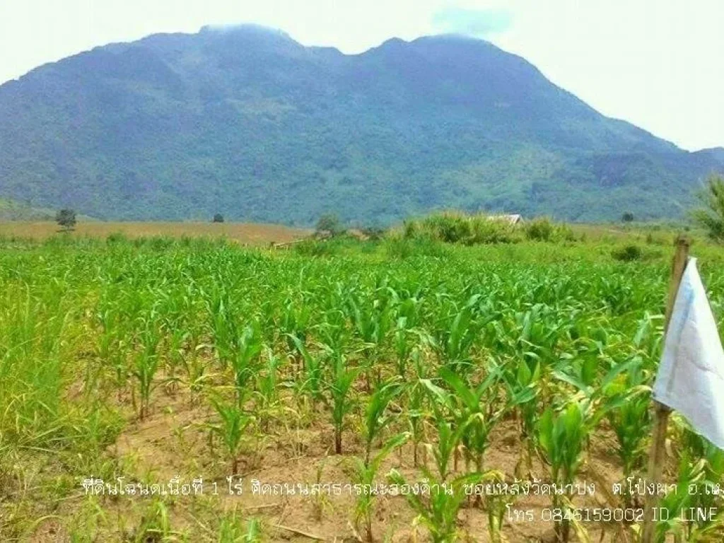 ที่ดินวิวดอยนางนอน บ้านนาปง แม่สาย เชียงราย