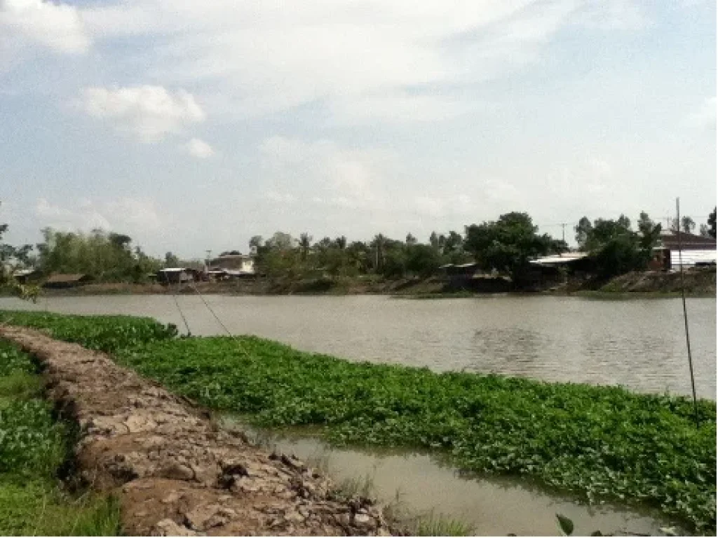 ขายที่ดินริมแม่น้ำท่าจีนสุพรรณบุรี จำนวน1 ไร่ ติดต่อเจ้าของที่ดินโดยตรงค่ะ ด่วนๆ