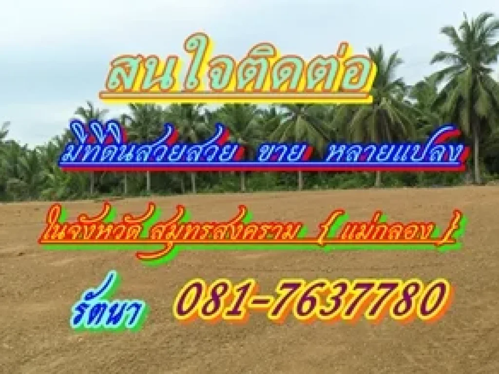 ขายที่ 10ไร่ 15ไร่ ราคาไร่ละ 850000บาท อลาดใหญ่ สมุทรสงคราม ใกล้อนุสรณ์แฝดอิน-จัน หมู่บ้านเอื้ออาทร