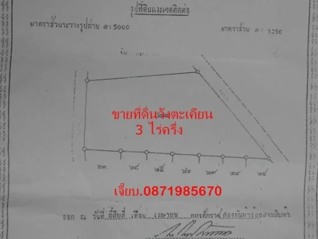 ขายที่ดิน 3 ไร่ครึ่ง วังตะเคียน