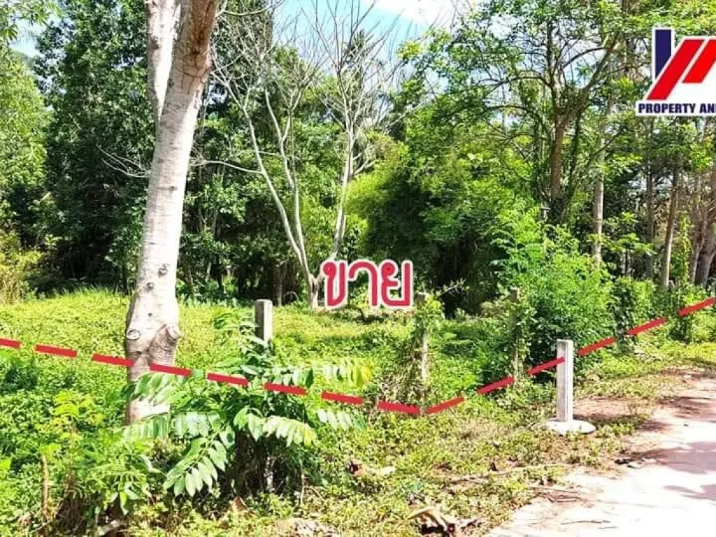 ที่ดิน 1-2-58 ไร่ หลังรินทองประดู่ ใกล้ บขส เซนทรัล