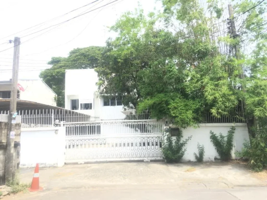 HOME for Rent or Sale บ้านเดี่ยว 128 ตรว ซประชาชื่นรังสรรค์เหนือ14แยก5