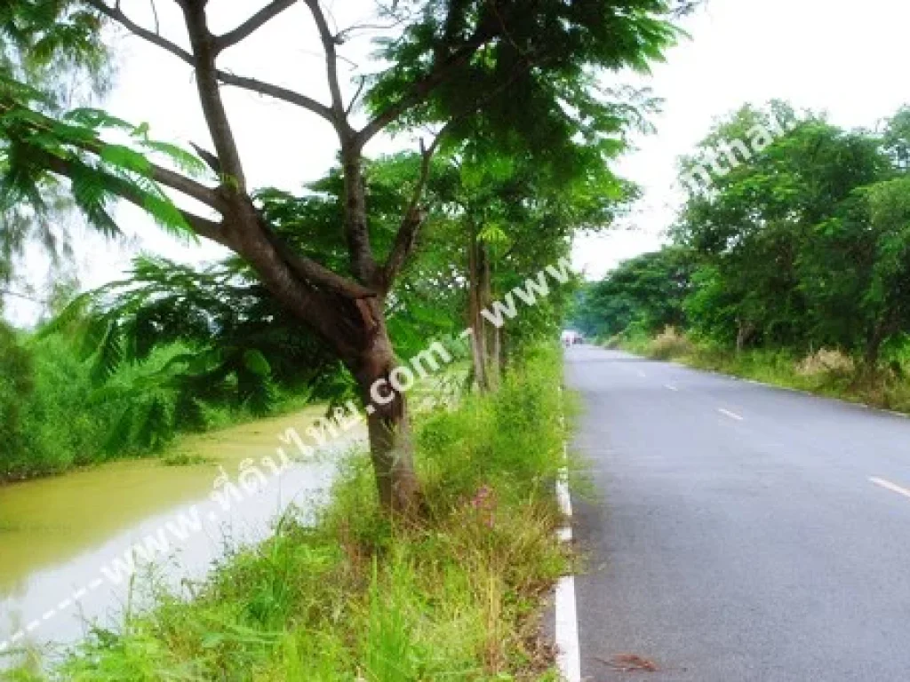 ขายที่ดินหนองเสือ - ที่ดินไทย เนื้อที่่ 20 ไร่เศษ โฉนด ตั้งอยู่ที่ตนพรัตน์ อหนองเสือ จปทุมธานี รหัส 904