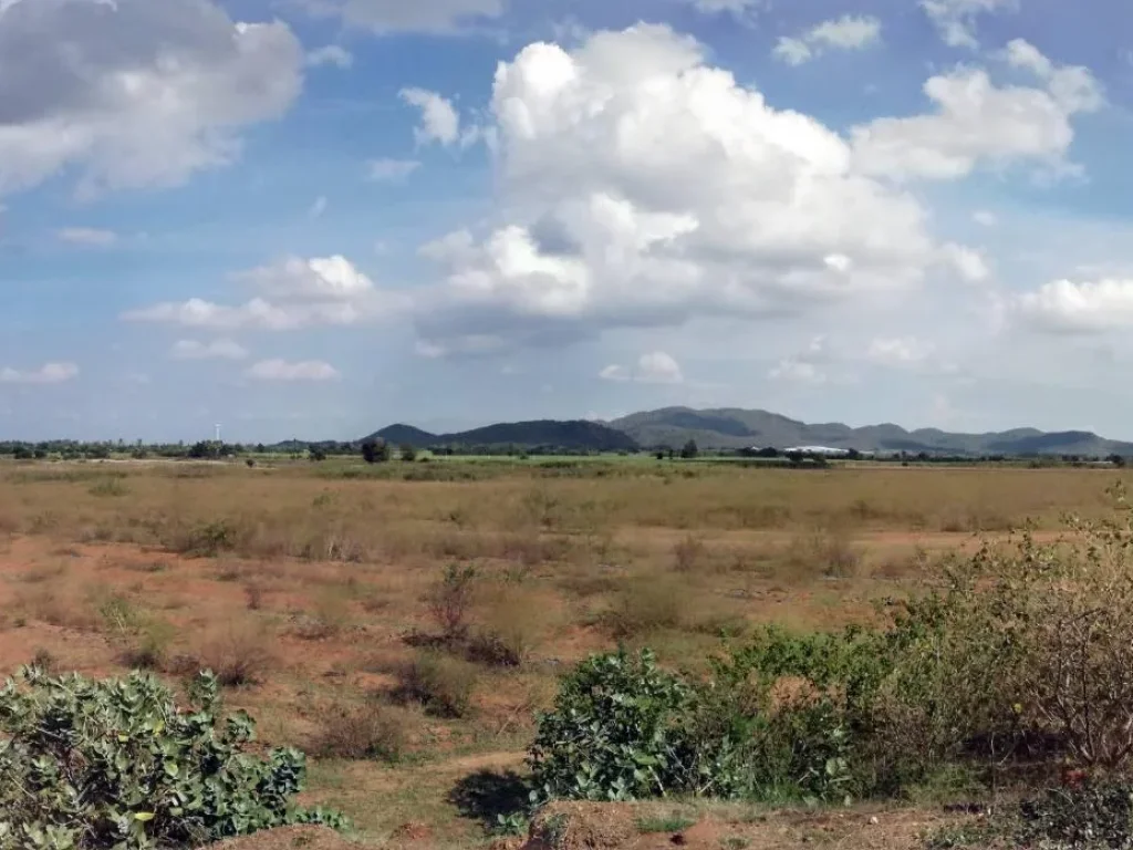 ที่ดินเปล่าสวยมาก 243 ไร่ ติดถนนติดภูเขา