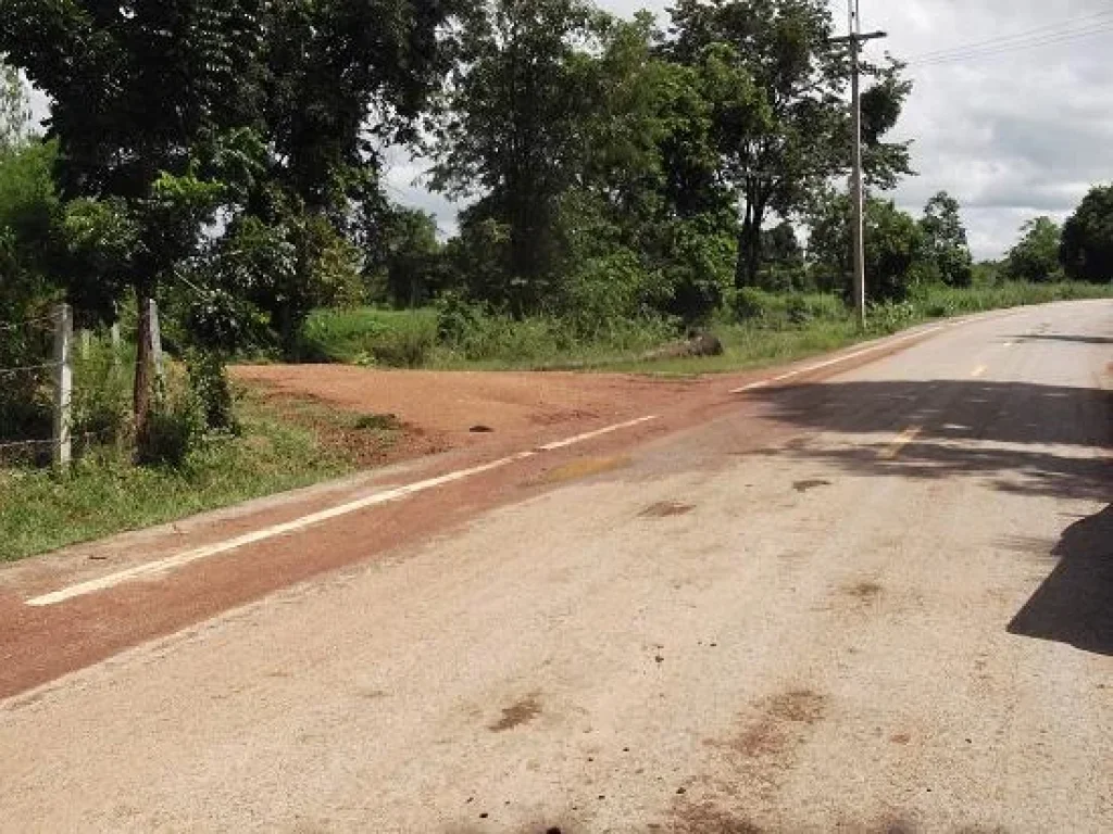 ขายที่ดิน 120ไร่ ไร่ละ 100000 บาท อยู่ติดถนนลาดยาง ทำเลสวย