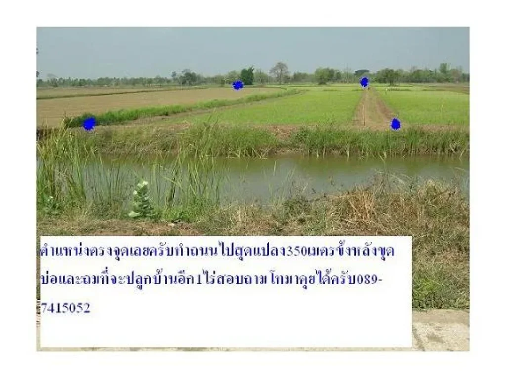 ายที่นาติดถนนปูนอเสาไห้จสระบุรี15ไร่น้ำไม่ท่วมที่ดินติดถนนปูนสวยนำ้ดี