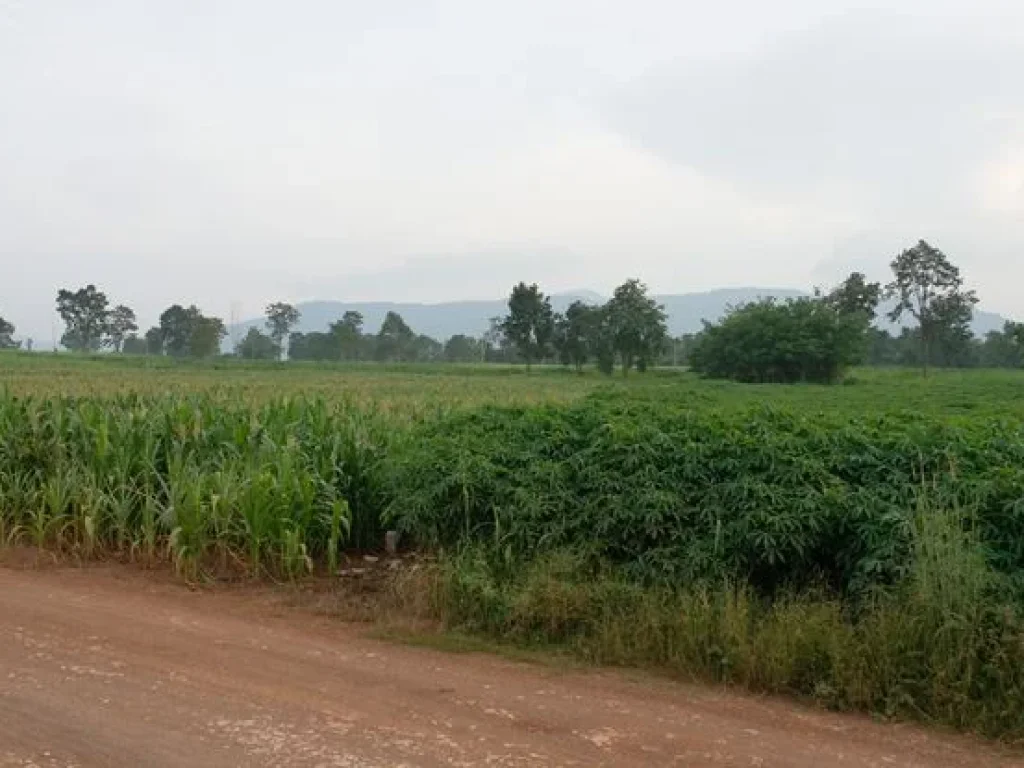 ที่ดิน บ้านสว่างอารมณ์ ติดคลองปูน-บุ่งเตย หมูสี 5 ไร่ ราบ-วิวเขาใหญ่-เขาจันทร์