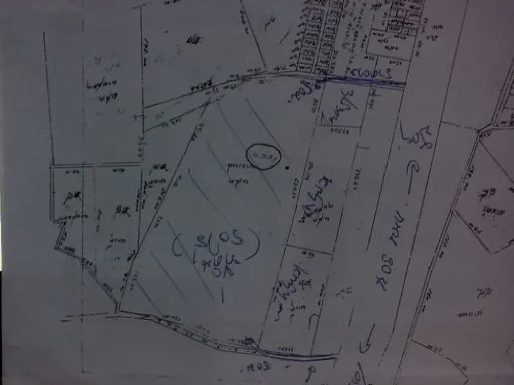 ที่ดินสมบูรณ์แบบ นส3ก กับ 79 ไร่เศษ เพียง 20 ล้าน ห่างถนน 50 เมตรเท่านั้น ทางเข้า น้ำ ไฟฟ้าครบ พืชพันธ์ุไม้เล็กใหญ่สวยงามมาก ที่ดินชุ่มชื่นมาก
