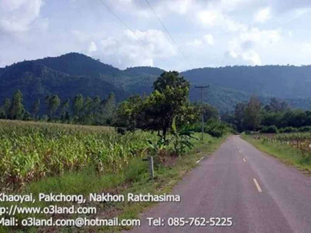 ที่ดิน 10 ไร่ติดเขาใหญ่ เลือดไทย หมูสี - วิวตามรูปครับ