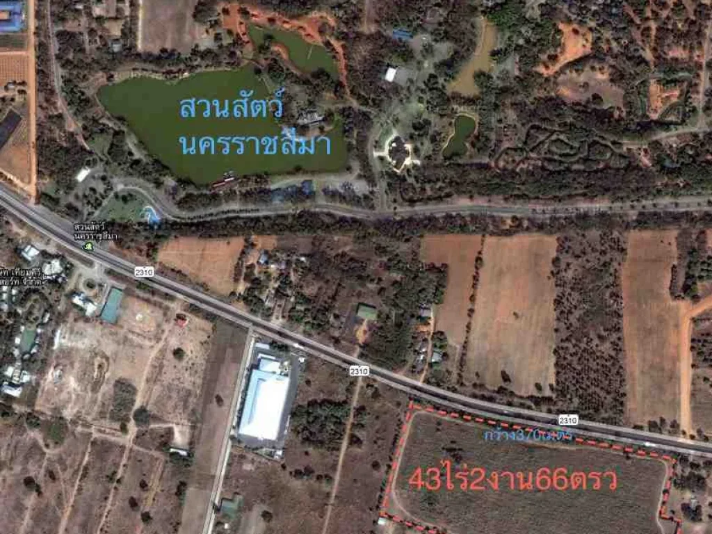 ขายที่ดินหน้าสวนสัตว์ติดถนน4เลน หน้าที่กว้าง370เมตร 43ไร่