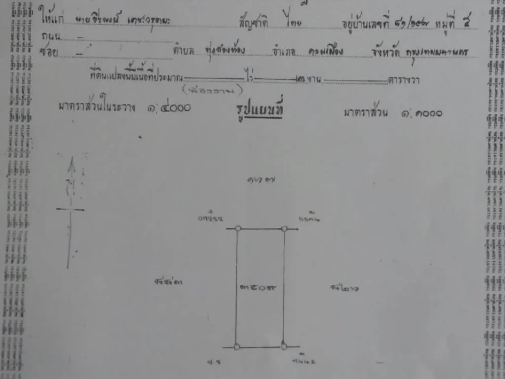 ขายที่ดิน 2 แปลง แปลงละ 200 ตรว