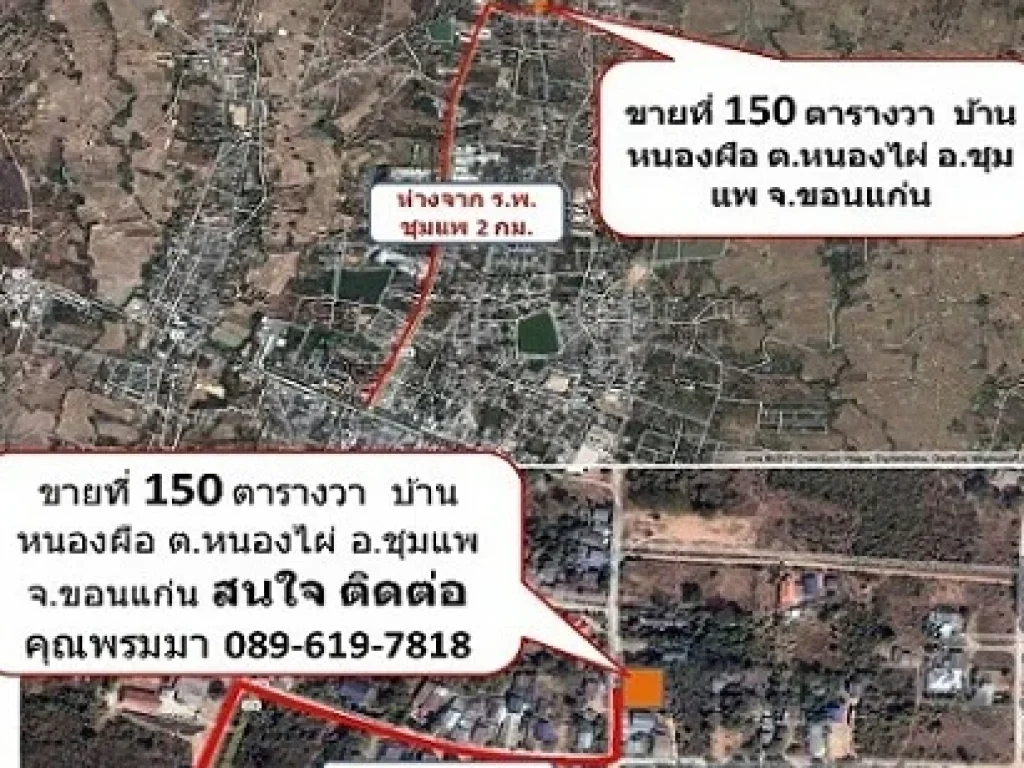 ขายที่ดิน 150 ตรวา บ้านหนองผือ ตหนองไผ่ อชุมแพ จขอนแก่น