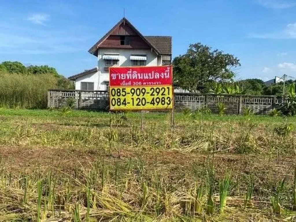 ขายด่วนที่ดินตรงข้าม Maga Bangna เนื้อที่ 306 ตรวา บางแก้ว