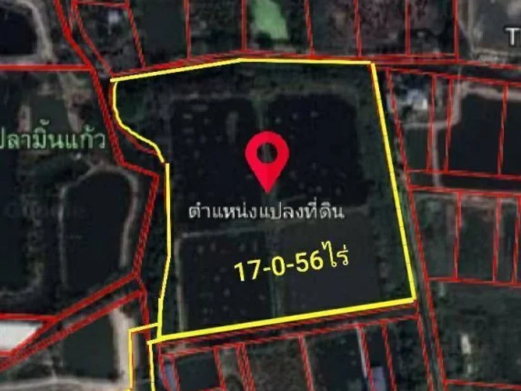 ขายถูกต่ำกว่าราคาตลาดที่ดิน ถนนบางพลี-ตำหรุ ตำบลบางปลา