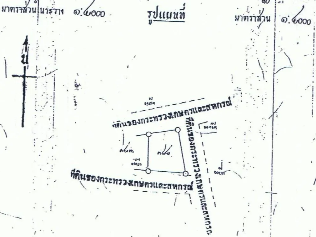 ขายที่ดินก่อนถึงทางแยกไปบางระกำ 2-3-89 ไร่