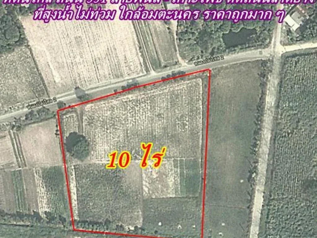 ขายที่ดิน 10 ไร่ 350000 ใกล้ถนน สายพนัส - เกาะโพธิ์ ใกล้วิทยาลัยการอาชีพ