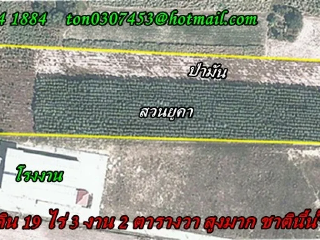 ขายที่ดิน 19 ไร่ ใกล้ ถ331 ติดโรงงาน ที่สูงมาก น้ำไม่ท่วมราคาถูก