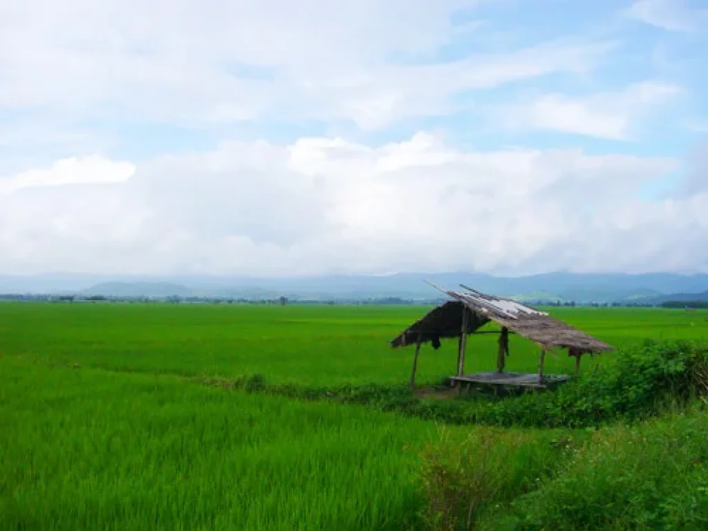 ที่ดินสวยติดริมคลองชลประทาน เมืองเชียงราย มีโฉนด