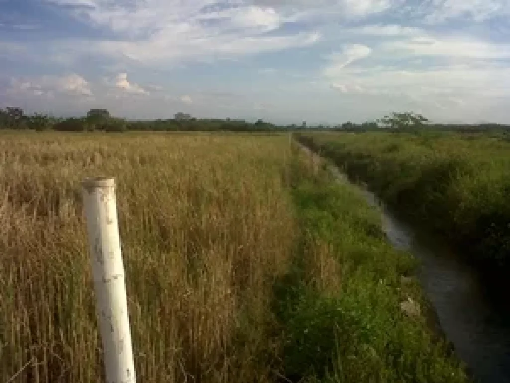 ขายที่ดินติดถนนตัดใหม่ท่าวังพร้าว-น้ำบ่อหลวง อสันป่าตอง เชียงใหม่ เนื้อที่ 3-0-28 ไร่ ไร่ละ 1800000 บาท ติดถนน 6 เลน