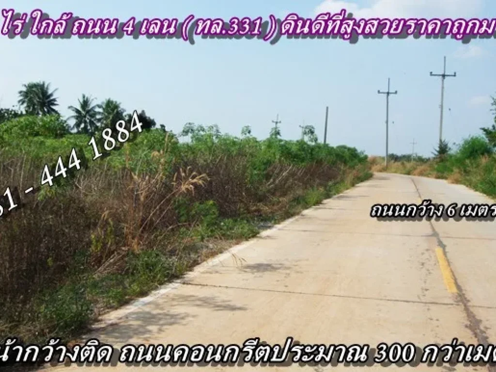 ขายที่ดินชลบุรี 40 ไร่ 290000 บาท สร้างโรงงานได้ ที่สูงสวยราคาถูก ติดโรงงาน