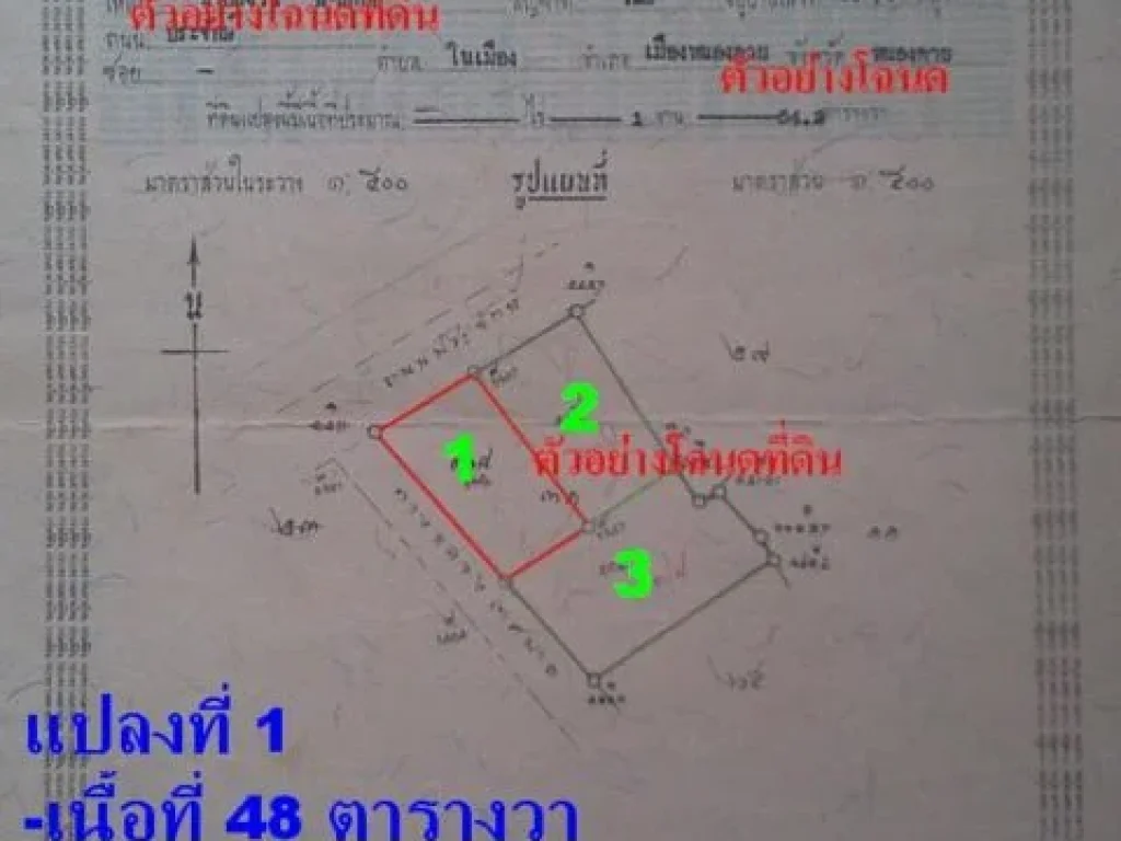 ขายที่ดิน 3 แปลง ติดถนน 2 ด้าน ด้านหน้าติดถนนประจักษ์ศิลปาคม ตในเมือง อเมือง จหนองคาย