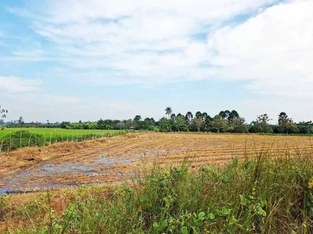 ขายที่ดินติดถนนทางหลวงเลี่ยงเมืองสุพรรณบุรี มดแดง ศรีประจันต์