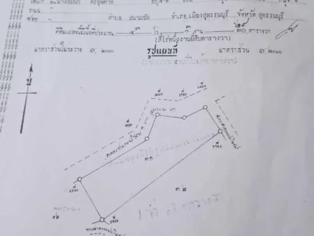 ขายที่ดิน 2 แปลงติดกัน ย่านยาว สามชุก สุพรรณบุรี