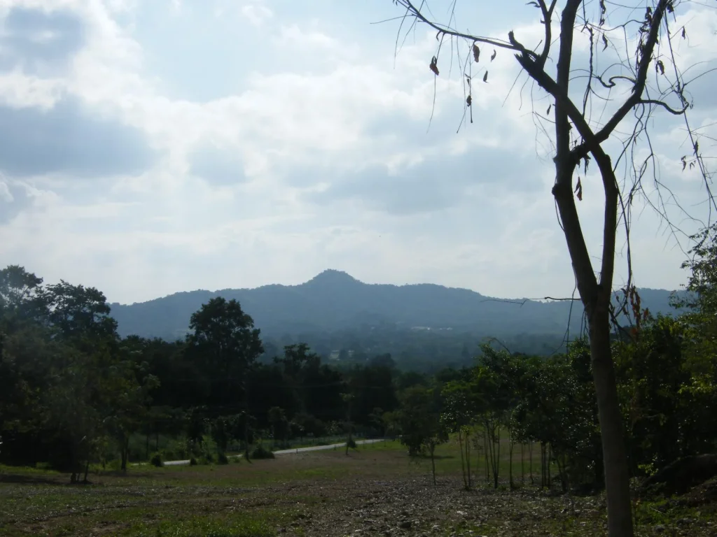 ขายที่ดิน 3-3-7 ไร่ ห่างถนนกุดคล้า-ผ่านศึก 100 เมตร มองภูเขาวิวสวยมาก เหมาะทำจัดสรรขาย ทำรีสอร์ท บ้านพักส่วนตัว ที่โฉนด