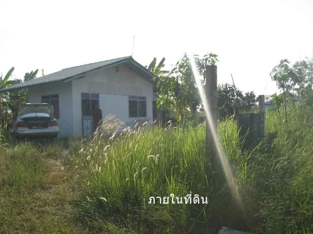 ที่ดิน 200 ตรว อยู่ อ หนองเสือ ปทุม ที่ถมแล้วพร้อมน้ำไฟ ขาย 750000 บาท