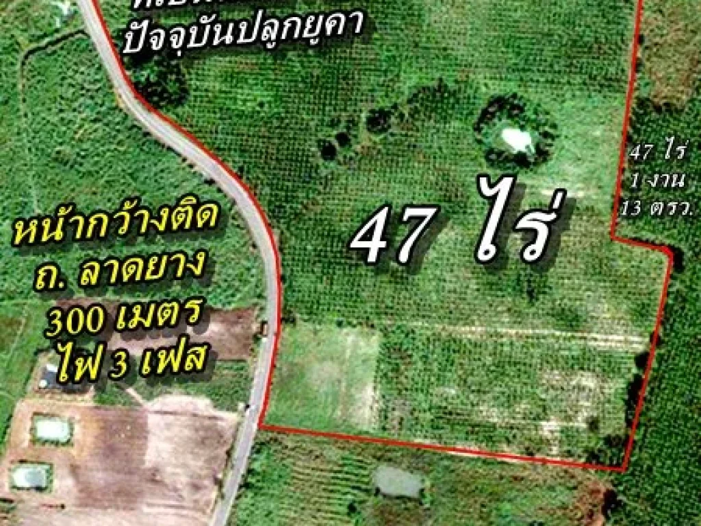 ขายที่ดินทราย จชลบุรี 47 ไร่ ๆ ละ 280000 บาท สร้างโรงงานได้ ขุดทรายขายได้