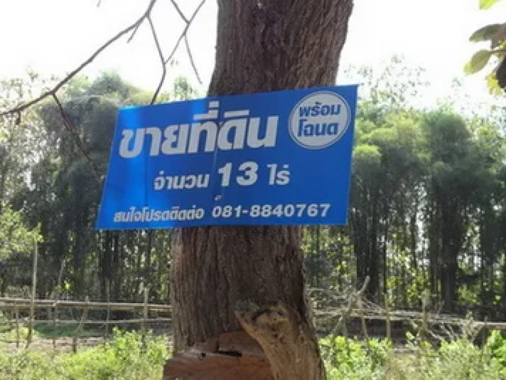 ขายที่ดินโฉนดไปทางถนนวัดนางแล-รรวิสิฐวิทยาเข้าทางตรงข้ามรรพลตำรวจ จลำปาง