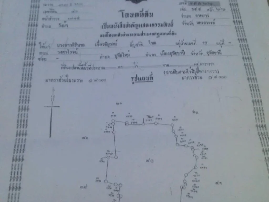 ขายที่นาติดถนน ตวังม้า อลาดยาว จนครสวรรค์ 33ไร่เศษ