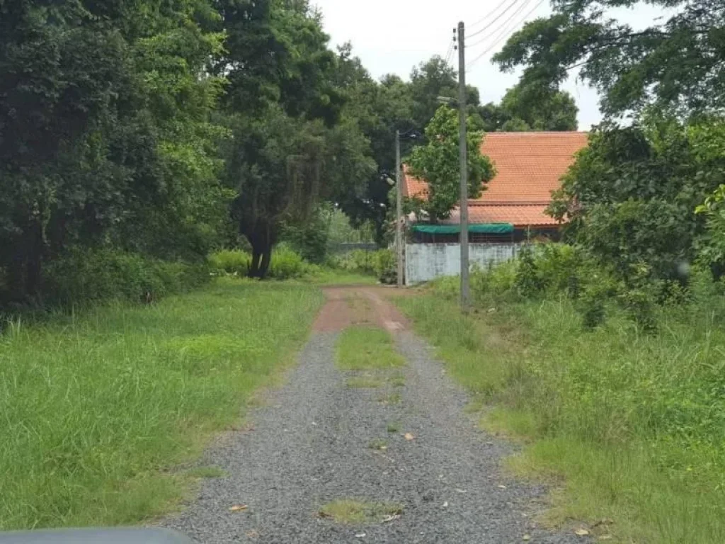 ที่ดินเหมาะปลูกบ้านทำเลในเมือง-โซนหลังโลตัสอุบลฯ