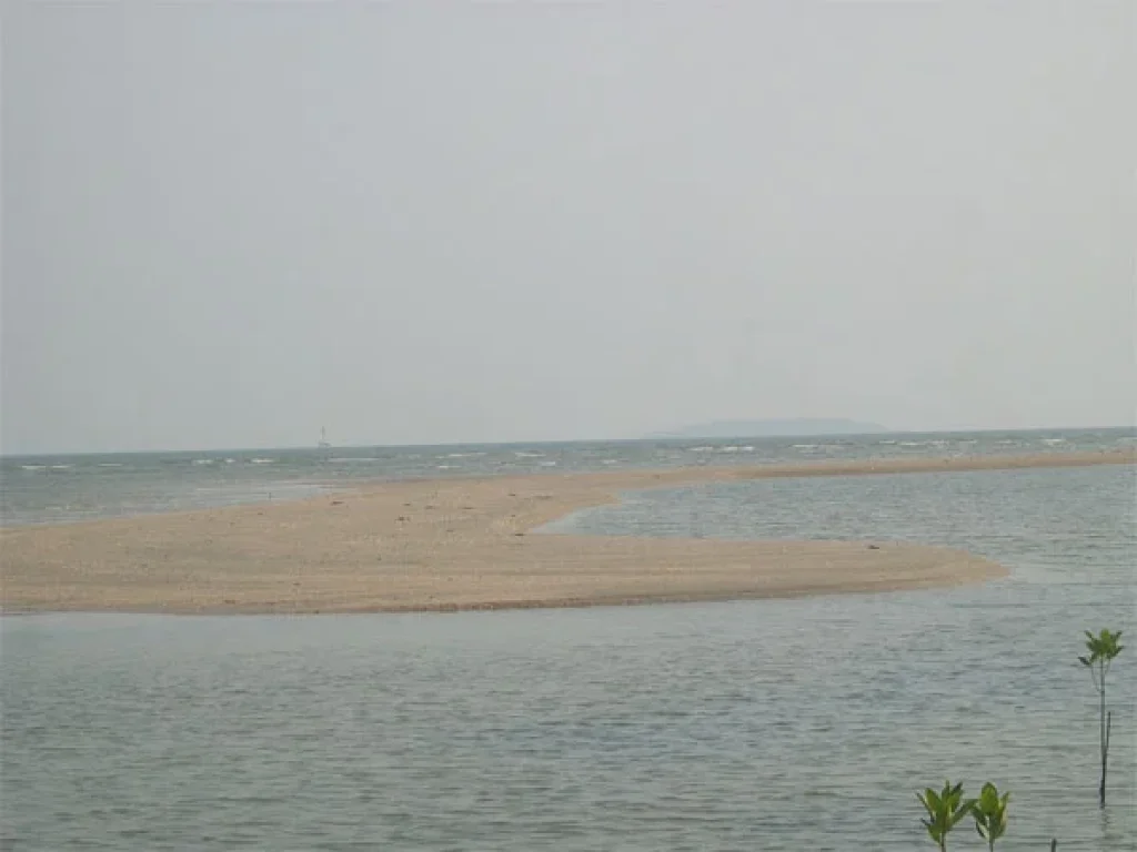 ที่ดินริมน้ำติดคลองธรรมชาติ น้ำใสสะอาด ปลาชุกชุม เอาเรือออกทะเลได้ ใกล้หาดแม่พิมพ์ โฉนด 1 ไร่กว่า