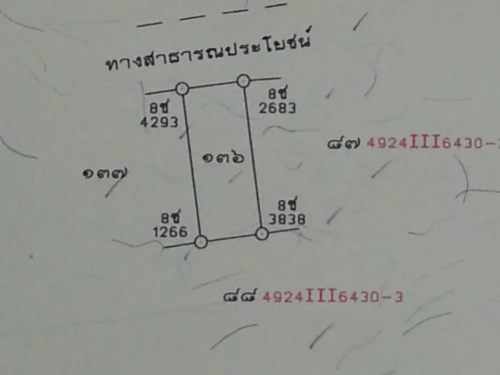 ขายที่ดินติดรั้วมอตรังจำนวน2ห้องกว้าง10เมตรยาว25เมตรที่สวยมากติดถนนลาดยางราคาถูก ตควนปริง อเมืองตรัง