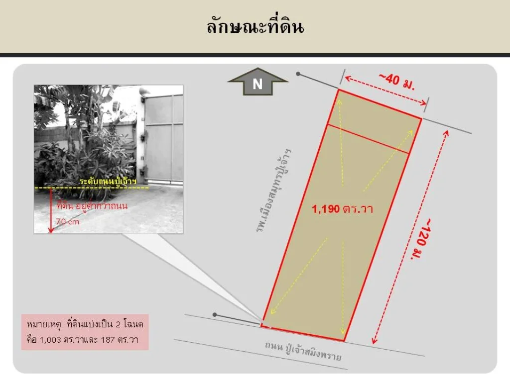 ที่ดิน พร้อมโรงงาน ติดถนน ปู่เจ้าฯ ขนาด 1190 ตรวา ด่วนสุด