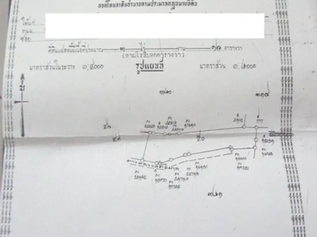 ขายที่ดิน3ไร่กว่า1ล้านบาทตสว่างอารมณ์อดอกคำใต้เขตเทศบาลจพะเยาใกล้ขนมจีนยายหม่อม