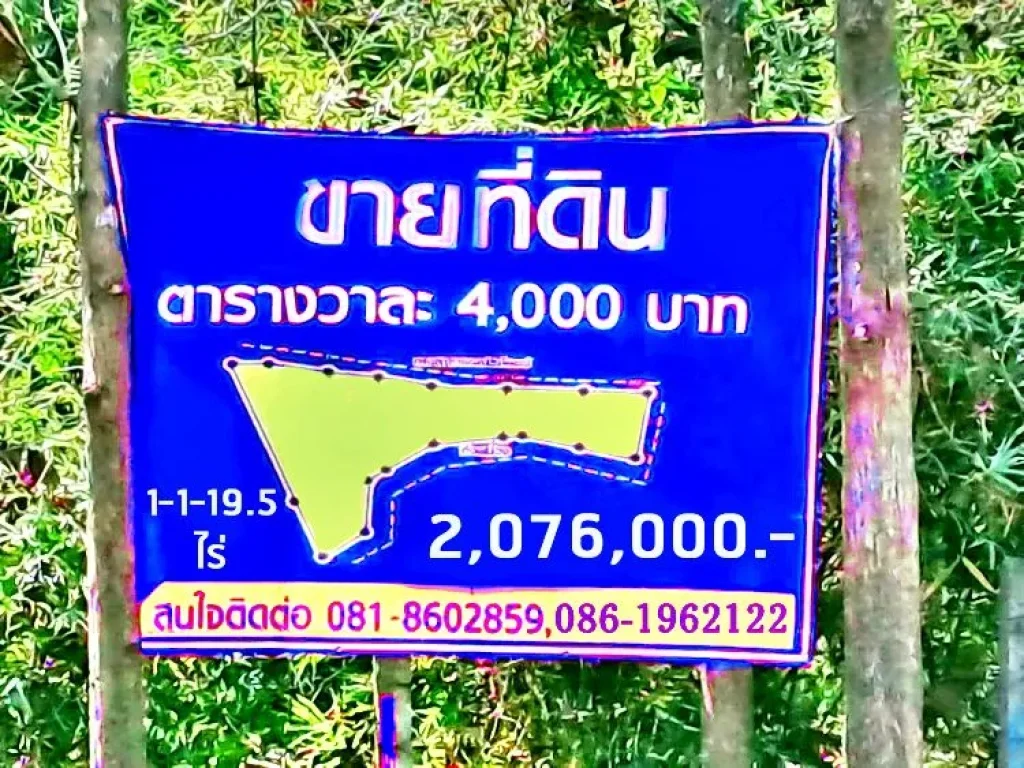 ขาย ที่ดินตำบลพิชัย ขนาด 1 ไร่ 1 งาน 195 ตรว ขายรวม