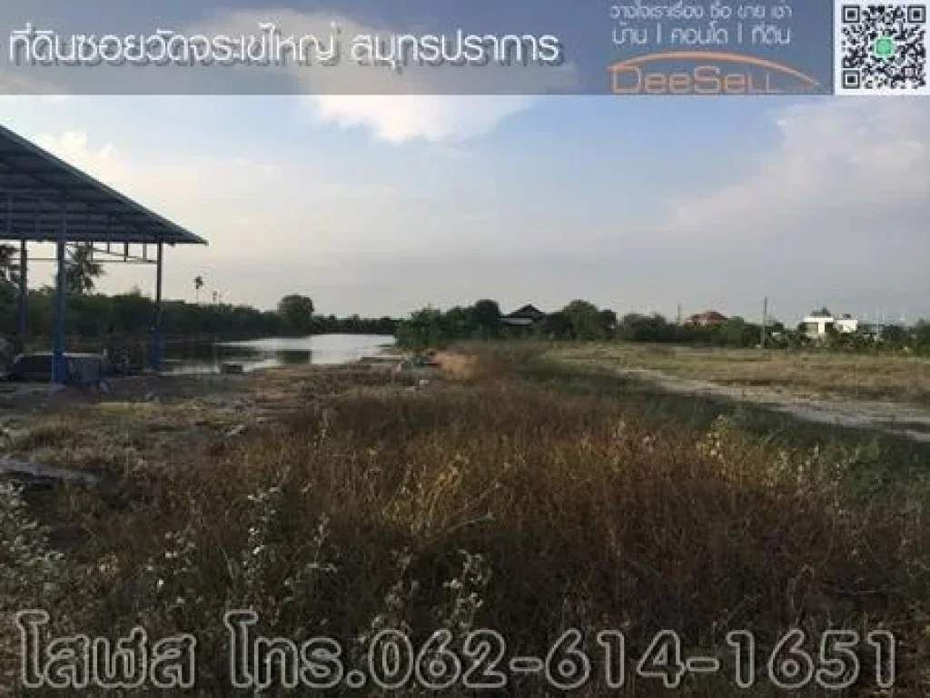 ขายที่ 11518ตรว เหมาะสร้างบ้าน ซวัดจระเข้ใหญ่