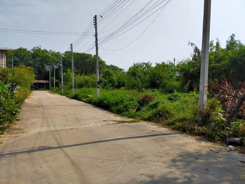 ขายที่ดินในโครงการร้องเรือนคำ แม่เหียะ เชียงใหม่