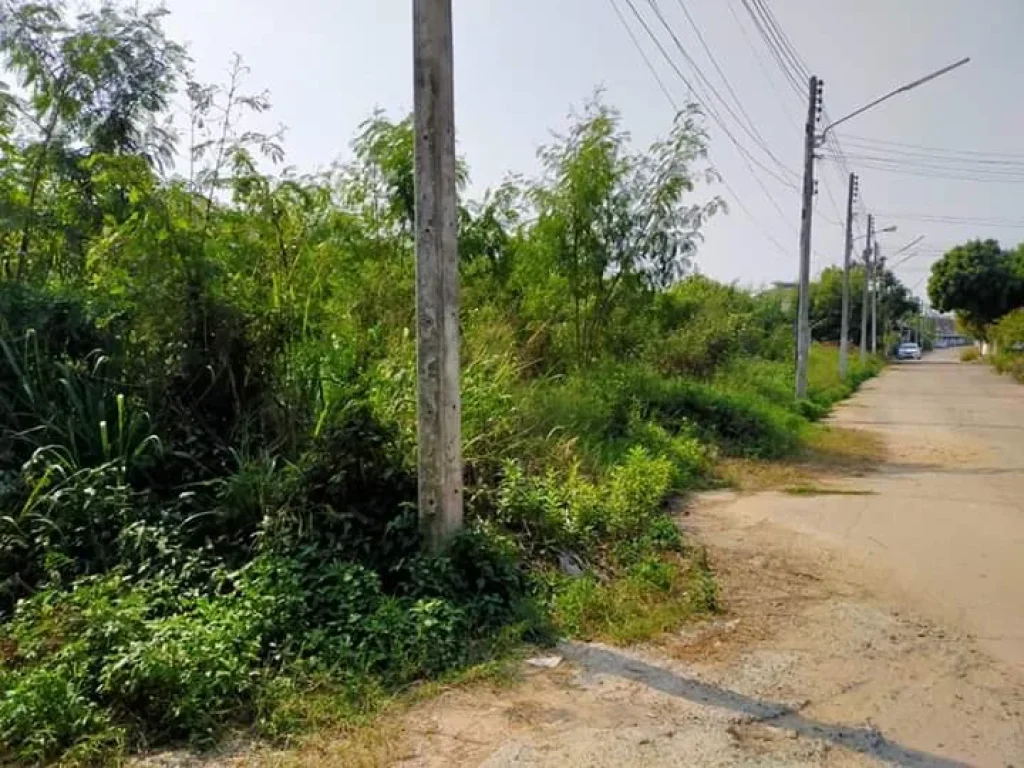 ขายที่ดินในโครงการร้องเรือนคำ แม่เหียะ เชียงใหม่