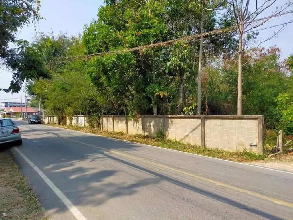 ขายที่ดินติดถนนคอนกรีต ในหมู่บ้านร้องเรือนคำ แม่เหียะ เชียงใหม่